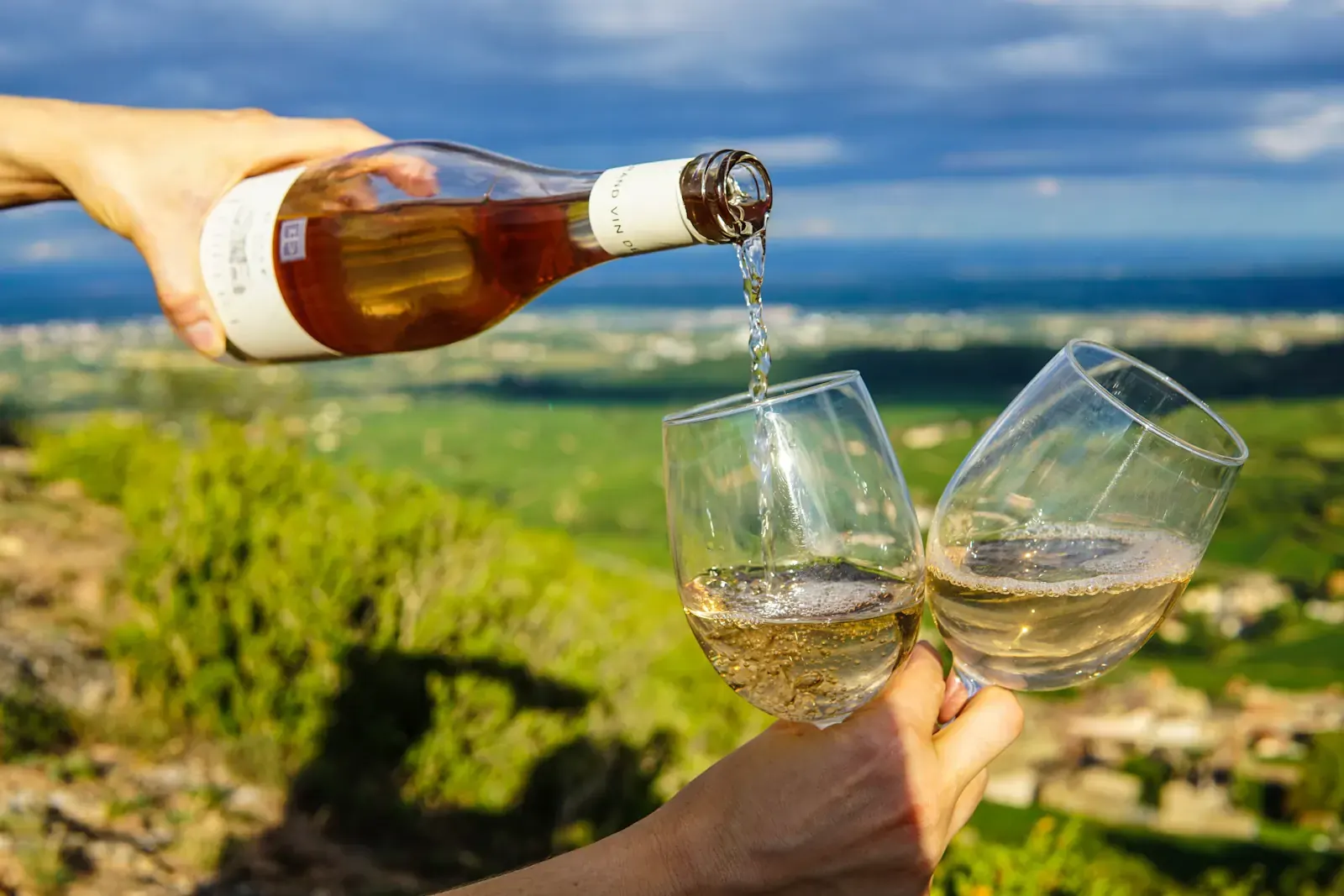 Wine is poured into a glass overlooking a vineyard